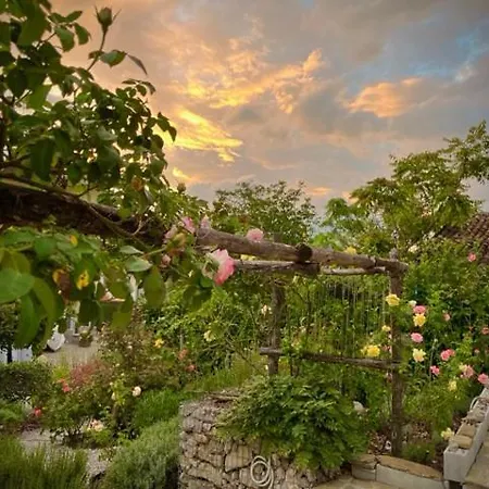 Basilicata Affittacamere *
